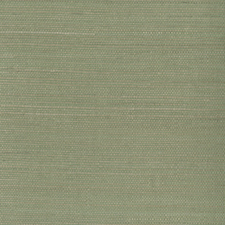 Gracie oaks papier peint uni 24 pi x 36 po rodricas wayfair canada